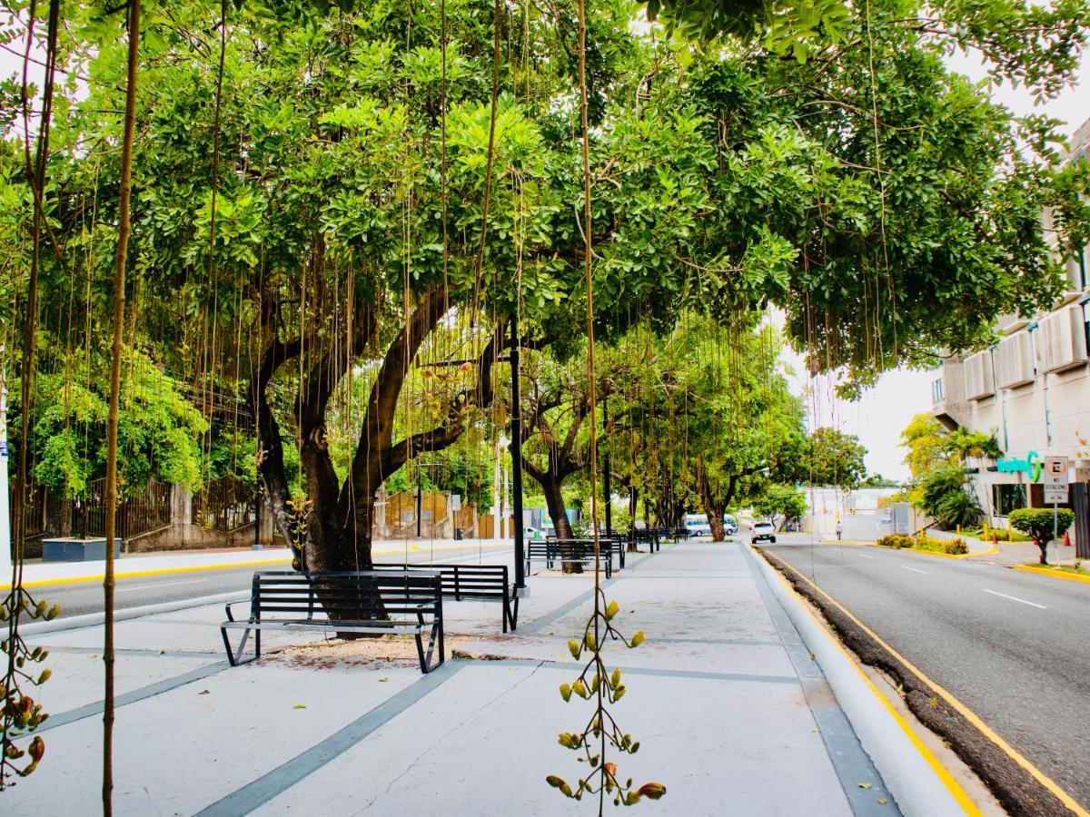 Super Luxurious L6 Sky Blue Apartment Santo Domingo Exterior foto